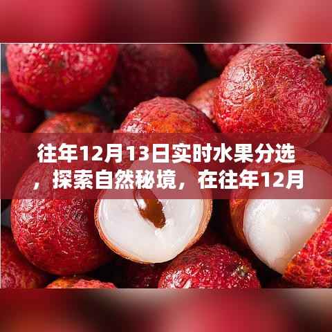 探索自然秘境,水果盛宴中的宁静与平和体验