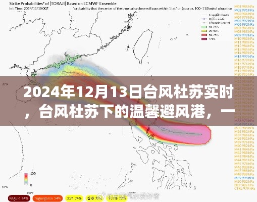 台风杜苏下的夏日奇遇,友情避风港实时报道 2024年12月13日