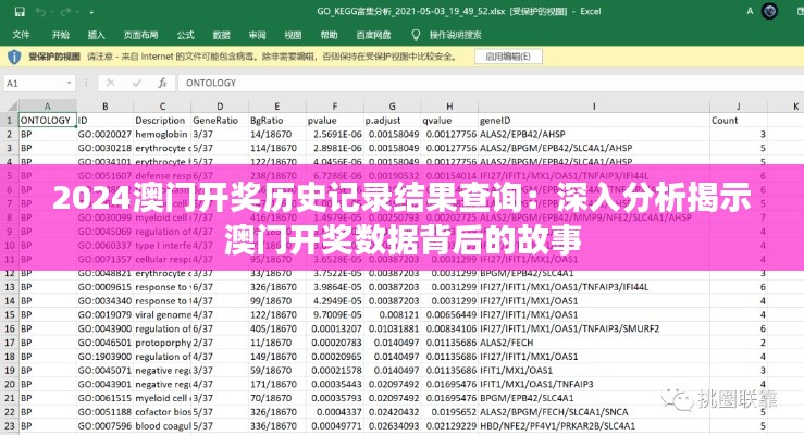 2024澳门开奖历史记录结果查询:深入分析揭示澳门开奖数据背后的故事
