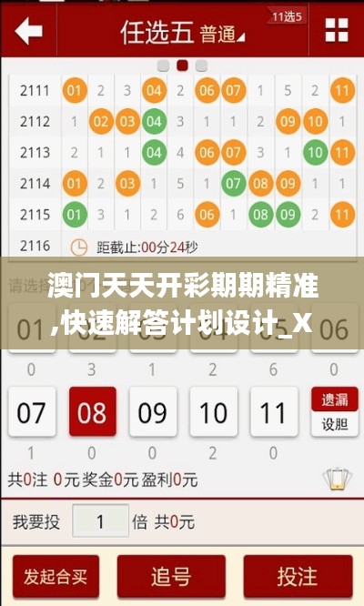 澳门天天开彩期期精准,快速解答计划设计_XP13.767