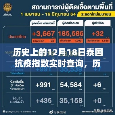 多维度视角下的泰国抗疫指数实时查询与观点碰撞,历史上的12月18日回顾