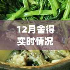 探秘巷弄深处的舍得惊喜,一家隐藏小巷中的特色小店揭秘的十二月故事