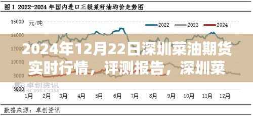 2024年12月22日深圳菜油期货实时行情深度分析，市场走势与评测报告