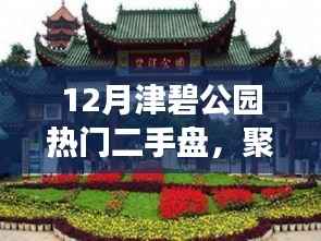 津碧公园热门二手盘解读与置业指南,热门房源一览及指南