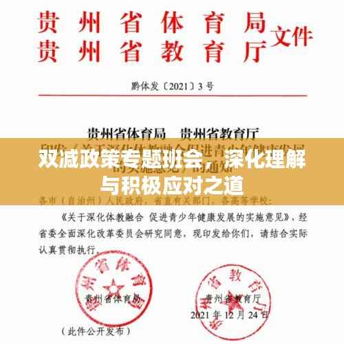 双减政策专题班会,深化理解与积极应对之道