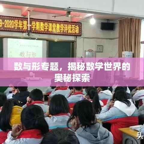 数与形专题，揭秘数学世界的奥秘探索