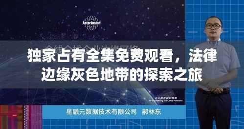 独家占有全集免费观看,法律边缘灰色地带的探索之旅