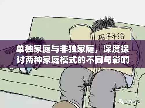 单独家庭与非独家庭，深度探讨两种家庭模式的不同与影响