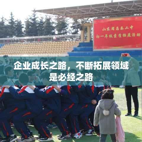 鸟飞兔走 第4页