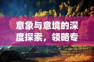 意象与意境的深度探索,领略专题魅力