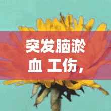 突发脑淤血 工伤,脑淤血算几级伤残