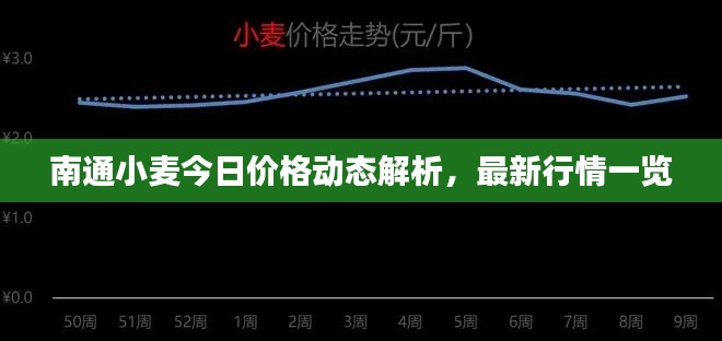 南通小麦今日价格动态解析,最新行情一览