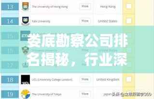 娄底勘察公司排名揭秘,行业深度分析与权威榜单