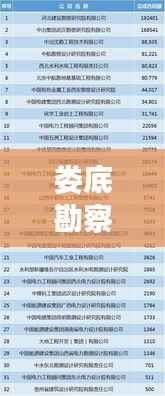 娄底勘察公司排名揭秘,行业深度分析与权威榜单