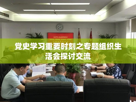 党史学习重要时刻之专题组织生活会探讨交流