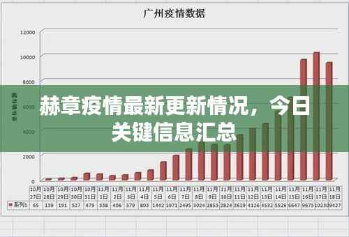 赫章疫情最新更新情况,今日关键信息汇总
