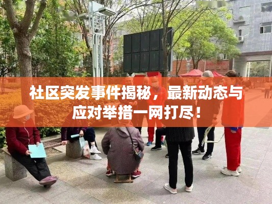 社区突发事件揭秘,最新动态与应对举措一网打尽!