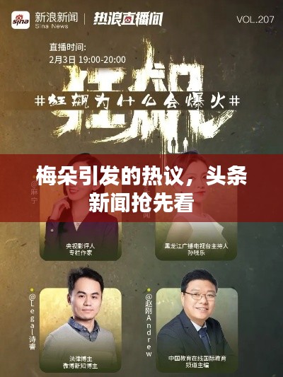 梅朵引发的热议,头条新闻抢先看