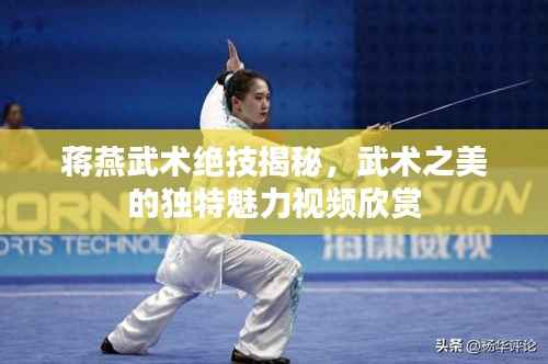 蒋燕武术绝技揭秘,武术之美的独特魅力视频欣赏
