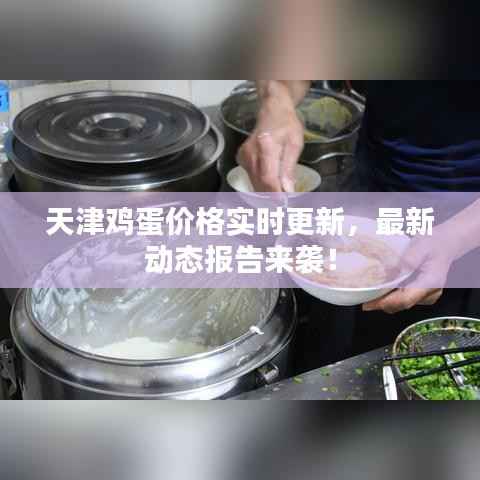 天津鸡蛋价格实时更新,最新动态报告来袭!