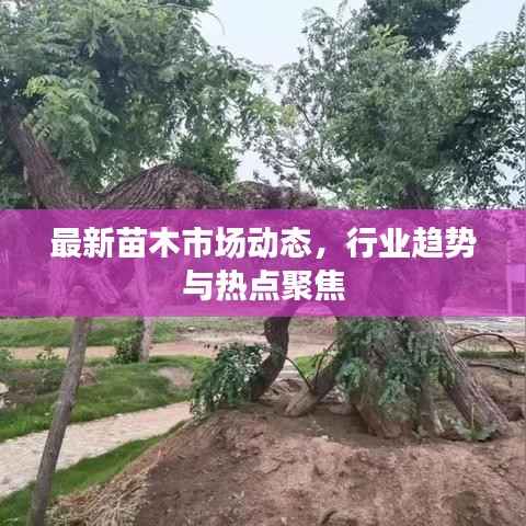 心急如焚