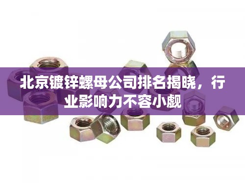 北京镀锌螺母公司排名揭晓,行业影响力不容小觑