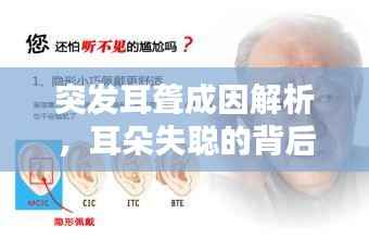 突发耳聋成因解析，耳朵失聪的背后因素揭秘