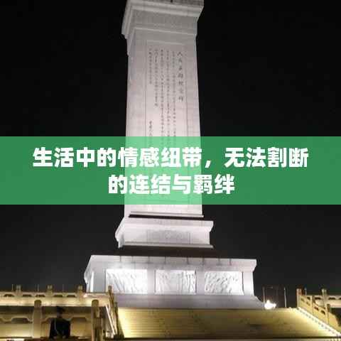 生活中的情感纽带,无法割断的连结与羁绊