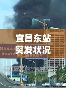 宜昌东站突发状况紧急处理,疾病事件引发关注