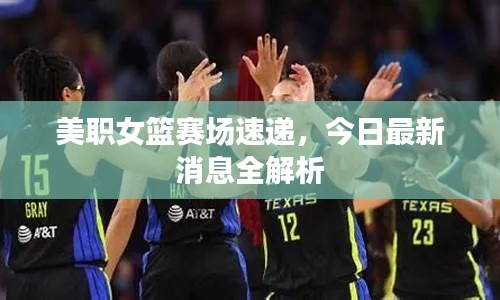 美职女篮赛场速递,今日最新消息全解析