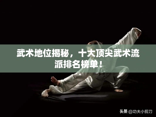 武术地位揭秘,十大顶尖武术流派排名榜单!