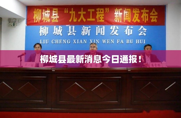 柳城县最新消息今日通报!
