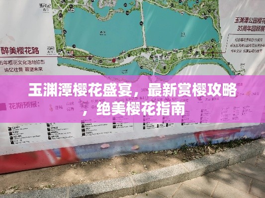 玉渊潭樱花盛宴,最新赏樱攻略,绝美樱花指南