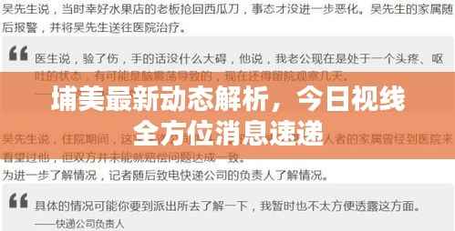 埔美最新动态解析,今日视线全方位消息速递