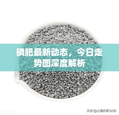 磷肥最新动态,今日走势图深度解析