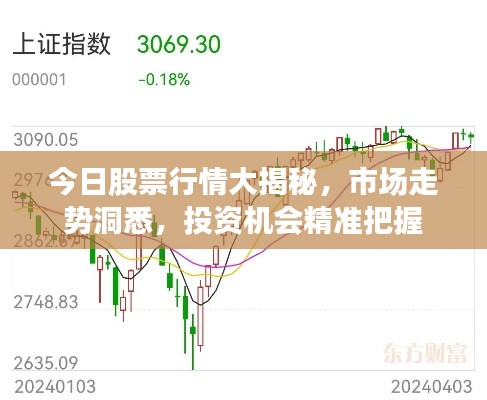 今日股票行情大揭秘,市场走势洞悉,投资机会精准把握