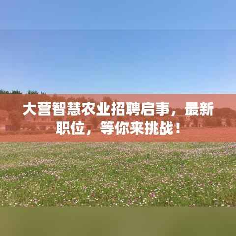 专心致志