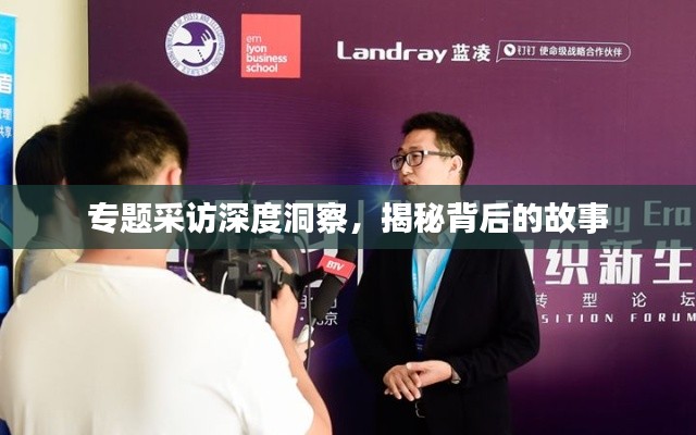 专题采访深度洞察,揭秘背后的故事